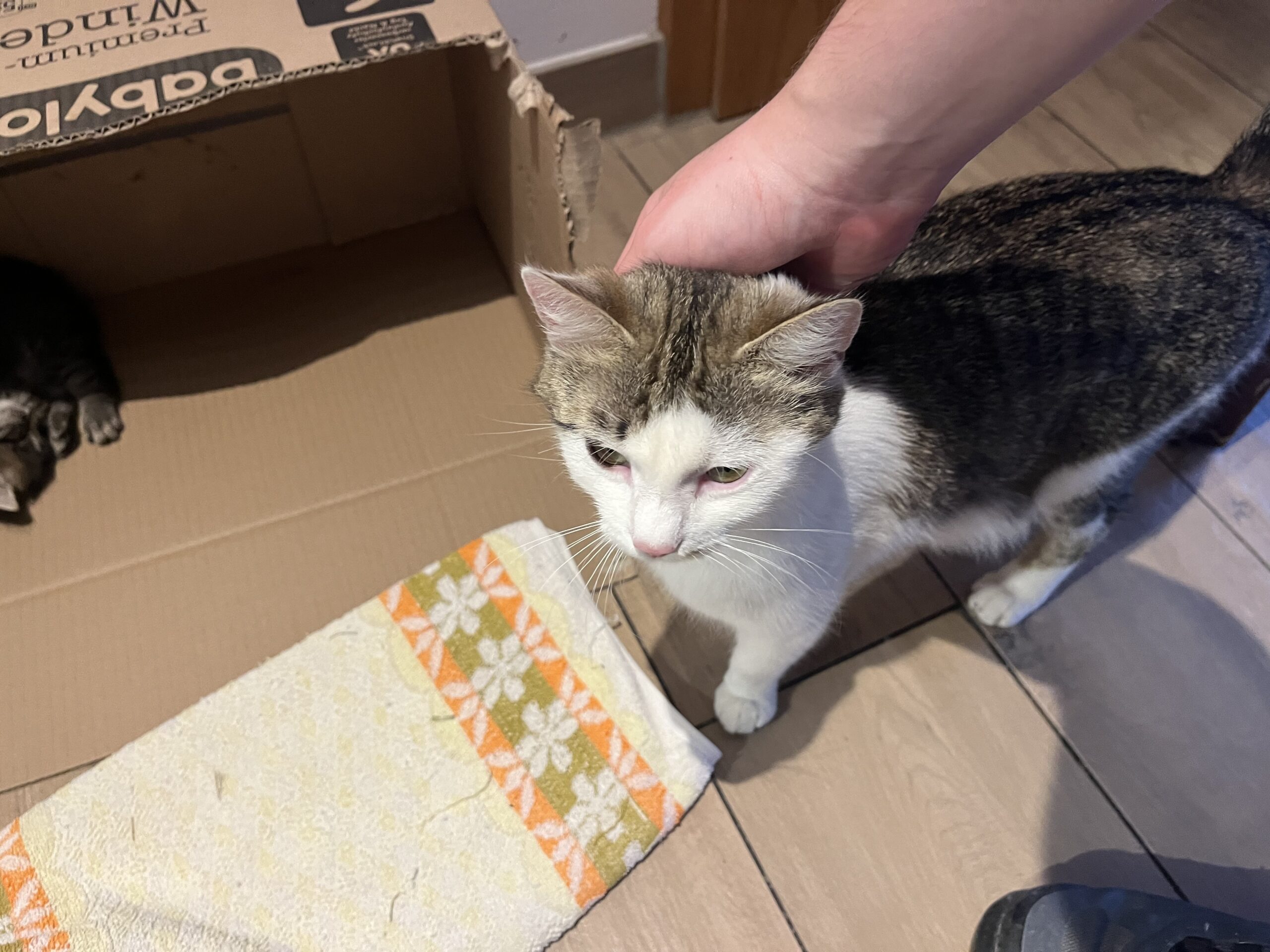 Hallo, Molly! (und siehe das Bündel ganz links)
