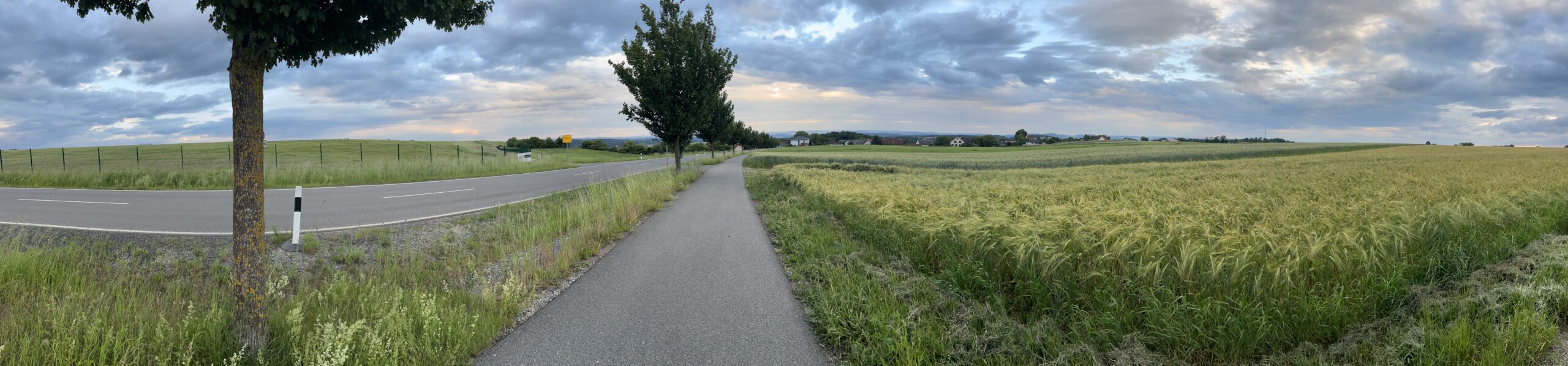 Oben angekommen werde ich mit Ausblick belohnt