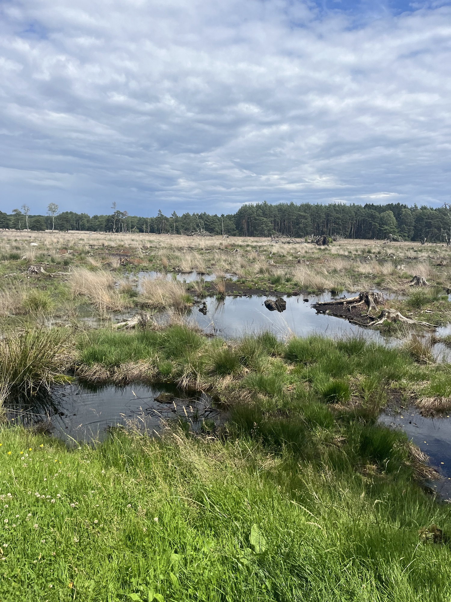 Ankommen in der Lüneburger Heide
